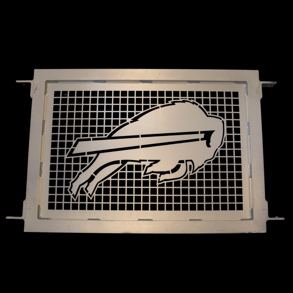 Highmark Stadium Authentic Section 138/137 Field Metal Red Gate