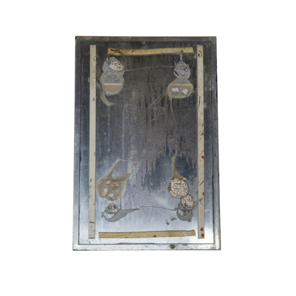 Highmark Stadium Authentic No Smoking 12x18 Sign