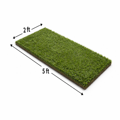 Buffalo Bills Highmark Stadium Authentic 2ft x 5ft Section of Turf (Pre-Order)