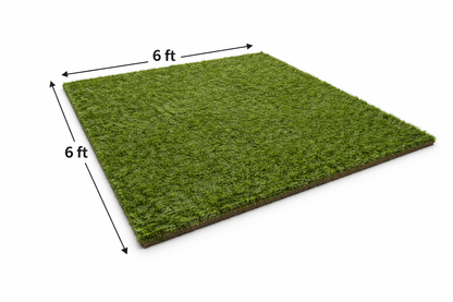 Buffalo Bills Highmark Stadium Authentic 6ft x 6ft Section of Turf (Pre-Order)